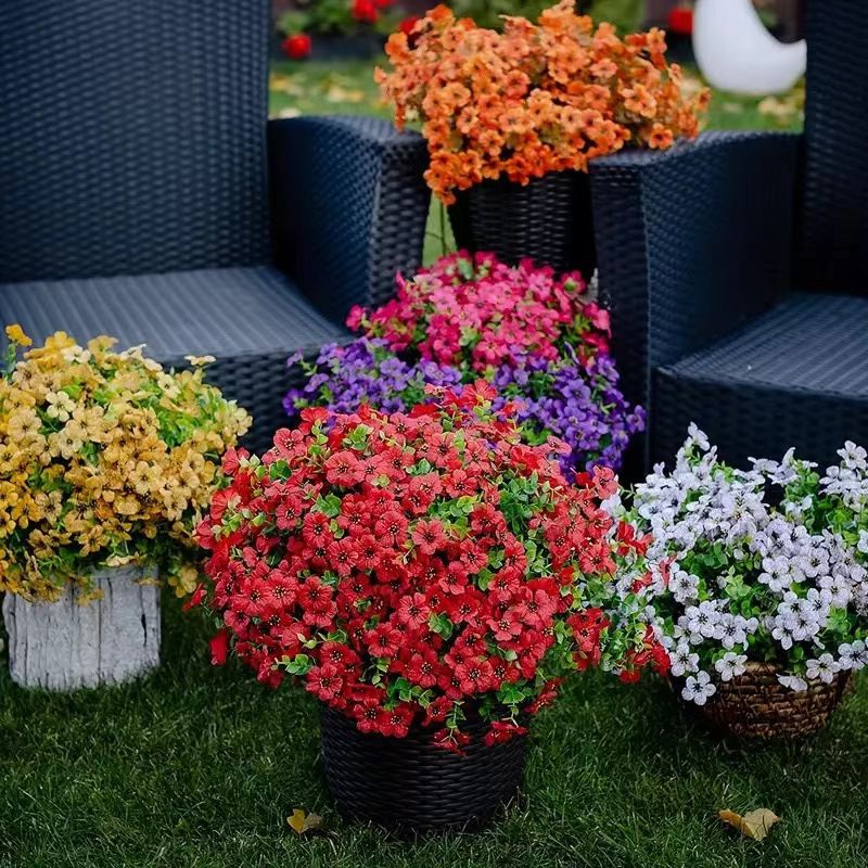 1 buah tanaman bunga eukaliptu - Bonsai Garden Festival ulasan dan harga