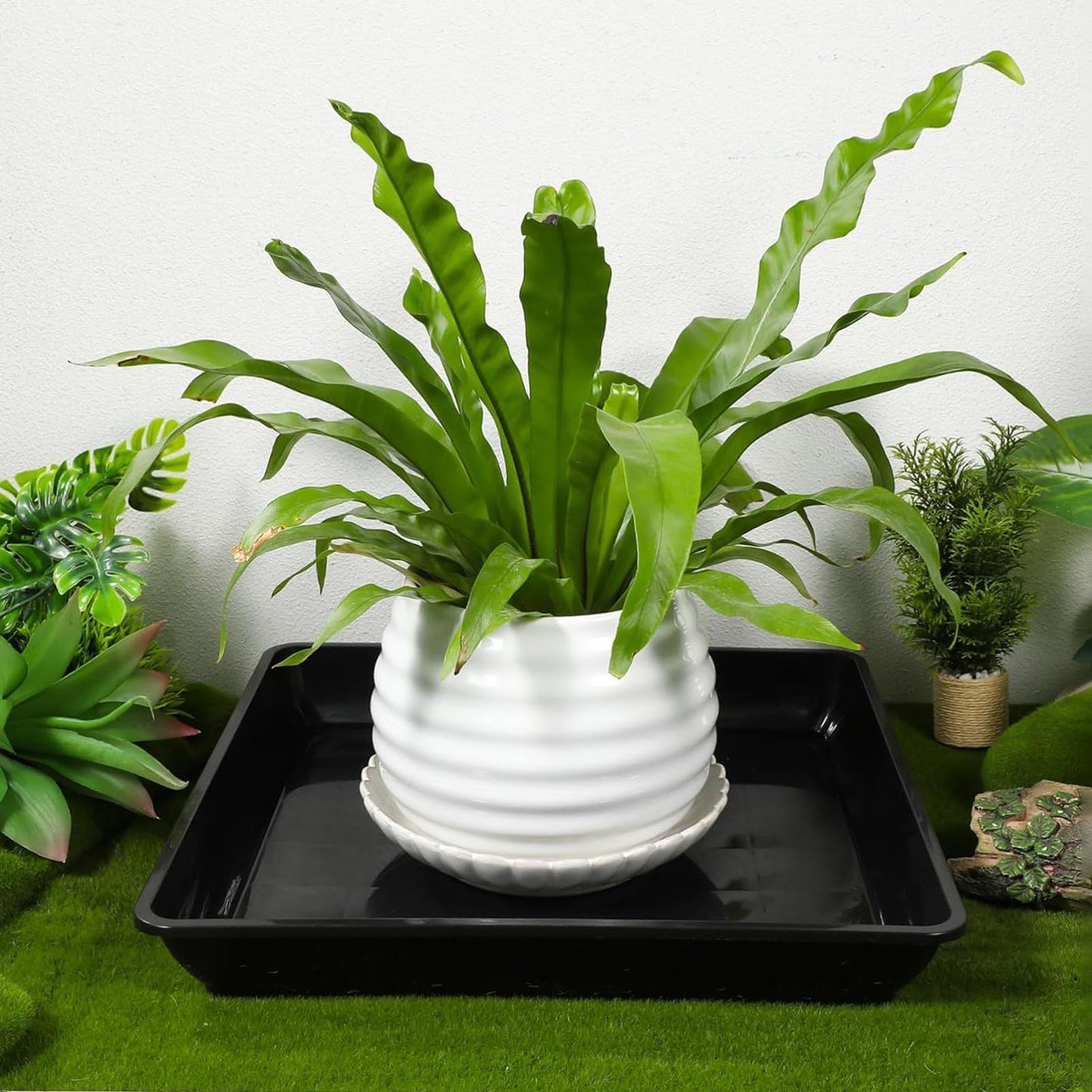 2 Buah Nampan Tanaman Balkon T - Drip Tray Saucer ulasan dan harga